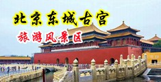 丰满多毛的阴户视屏中国北京-东城古宫旅游风景区